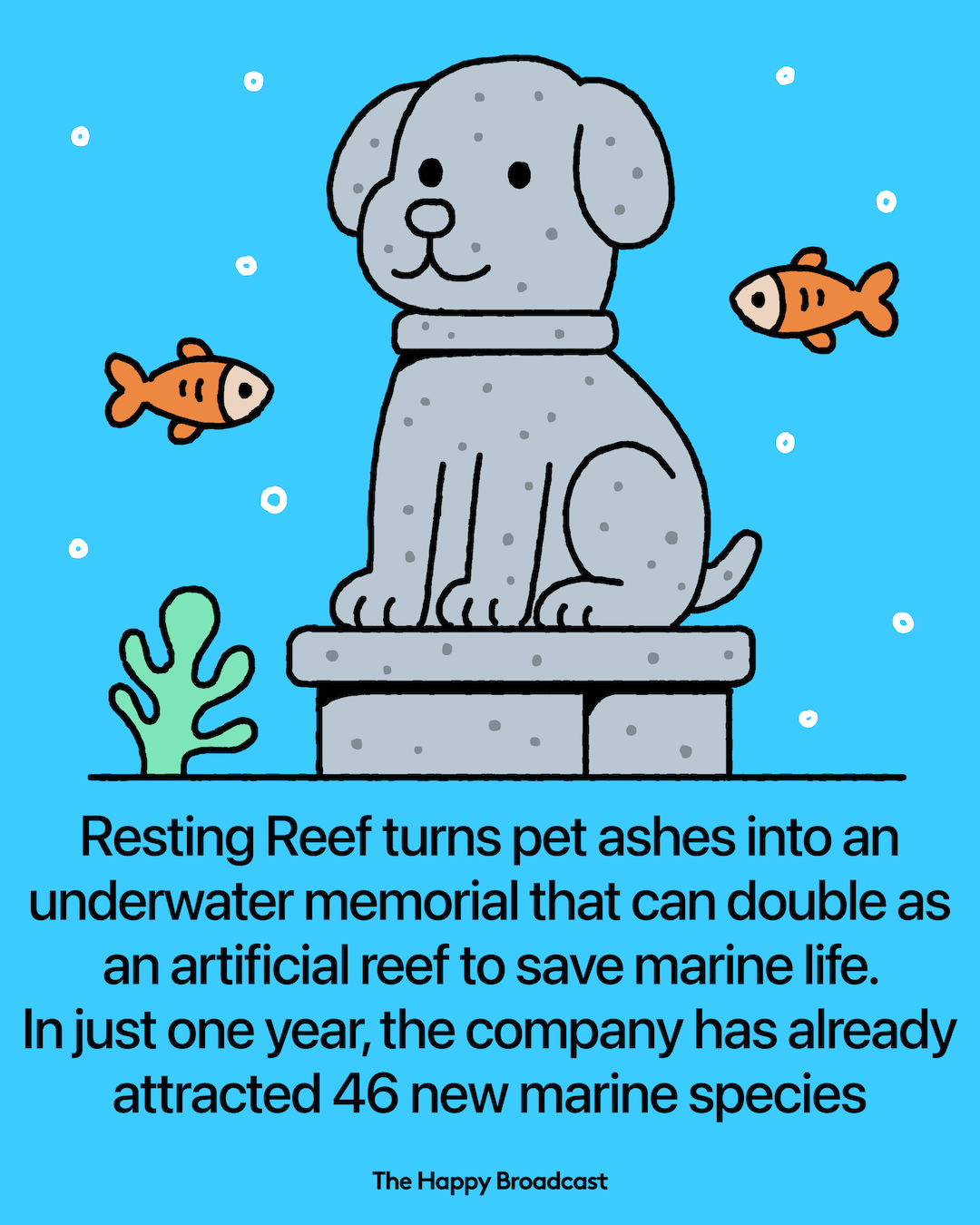 Resting Reef: Transforming Pet Ashes into Reef Ecosystems