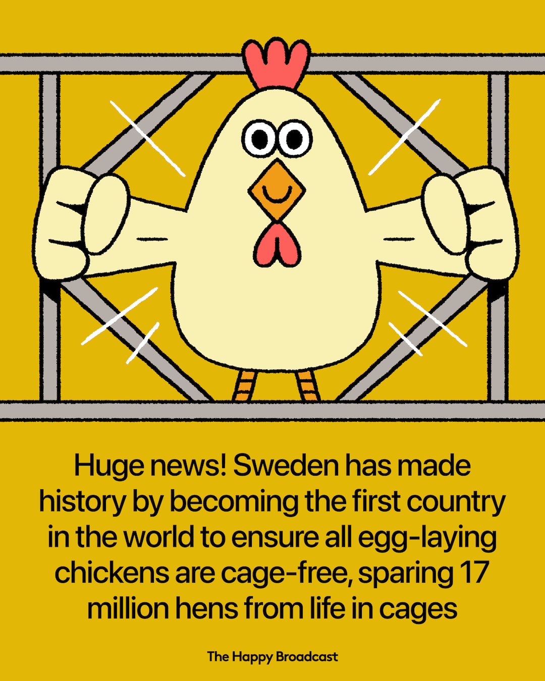 Sweden Becomes World’s First Cage‑Free Country
