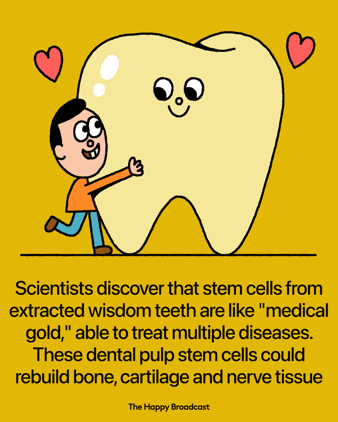 Wisdom Teeth Stem Cells Poised to Revolutionize Regenerative Medicine