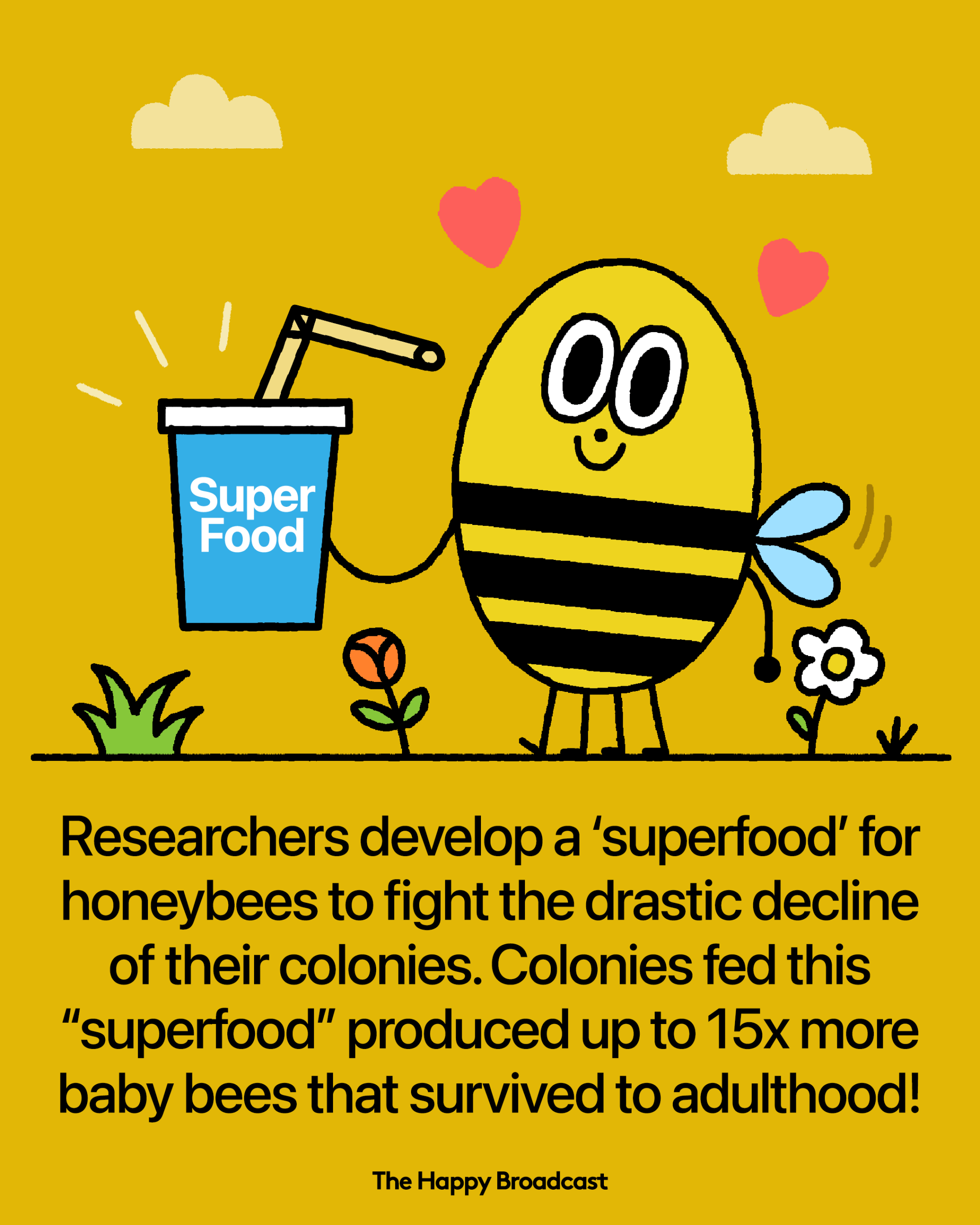 New Superfood Gives Honeybee Colonies A 15-Fold Baby Boom