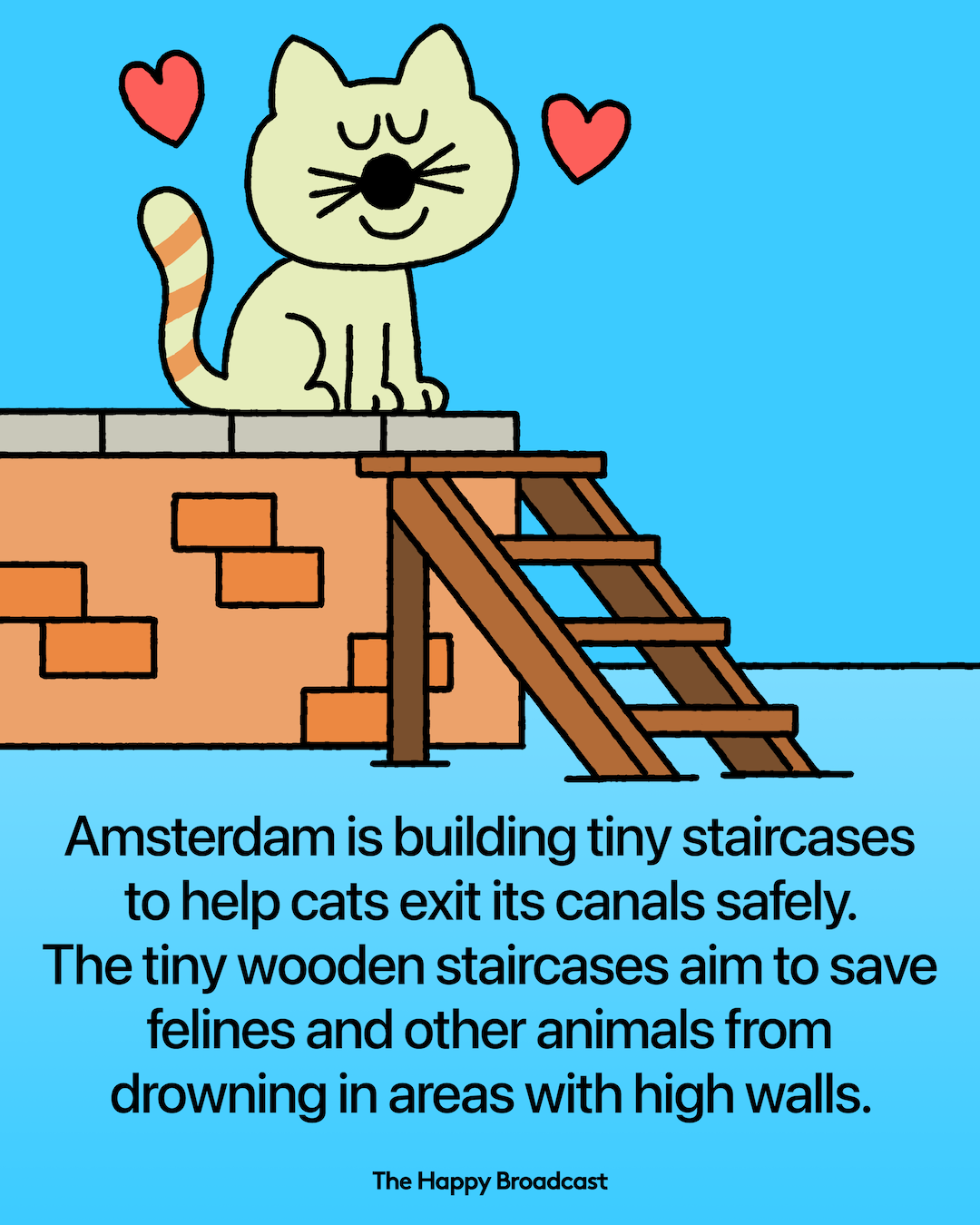 Amsterdam Installs Tiny Canal Staircases To Rescue Drowning Animals